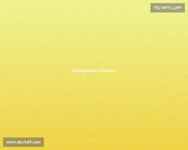 南安普顿主帅：比利时小球队也依赖FM和德转数据工具分析